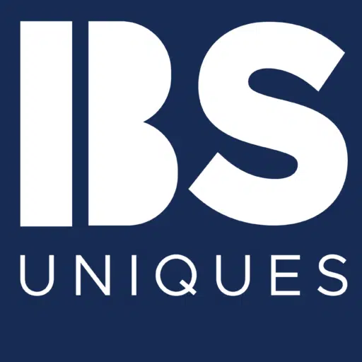 BS Uniques - Dein Partner für Webdesign & Digital Solutions