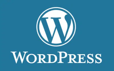 WordPress verstehen: Was du vor dem Start deiner Website wissen solltest